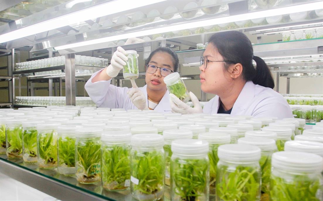 ศูนย์บริการเครื่องมือทางวิทยาศาสตร์เเละตรวจสอบคุณภาพมาตรฐานผลิตภัณฑ์