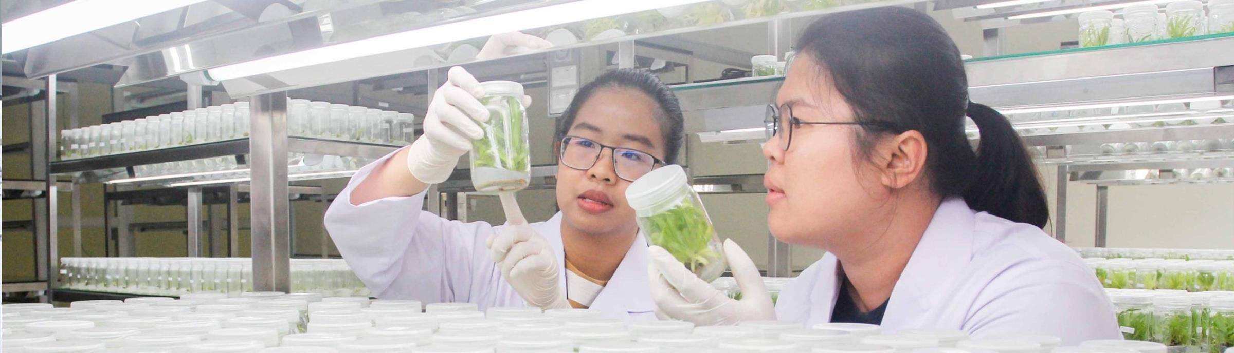 ศูนย์บริการเครื่องมือทางวิทยาศาตร์เเละตรวจสอบคุณภาพมาตรฐานผลิตภัณฑ์ 